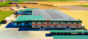 Una sociedad inversora se hace con una gran especialista en zanahorias