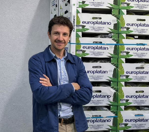 Añaterve Pérez (Europlátano): El mercado del plátano en España aún tiene recorrido para progresar en valor y en consumo