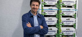 Añaterve Pérez (Europlátano): El mercado del plátano en España aún tiene recorrido para progresar en valor y en consumo