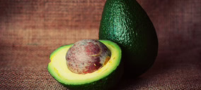 El aguacate continúa imparable en Europa tras ganar penetración en los hogares y frecuencia de compra