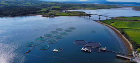 Mowi cierra 2025 con ventas de 5.730 M€ y 559.000 t