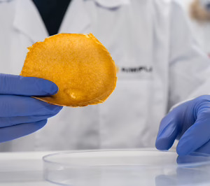 Aimplas lidera el proyecto ‘Vegancelio’