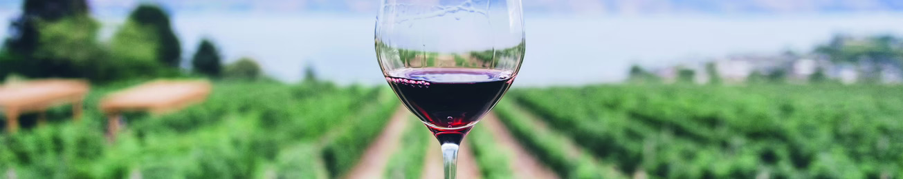 Estudio de opinión y hábitos de consumo del vino en España