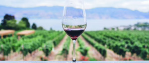 Estudio de opinión y hábitos de consumo del vino en España