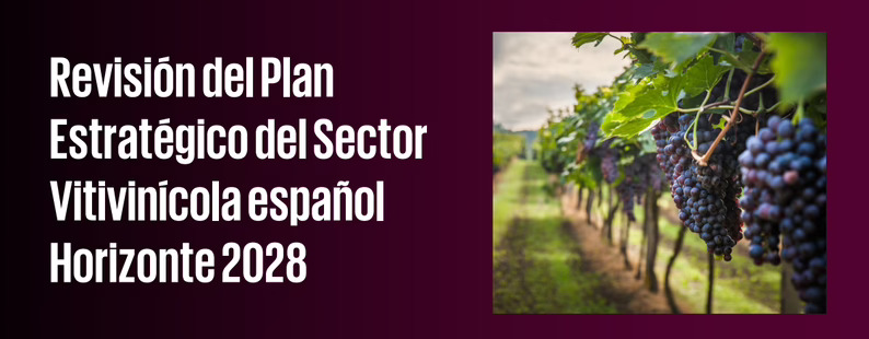 El sector vinícola revisa su programación con el foco puesto en la generación de valor