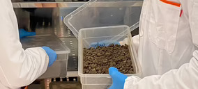 Aimplas abordará el futuro regulatorio y técnico de las etiquetas compostables en frutas y verduras