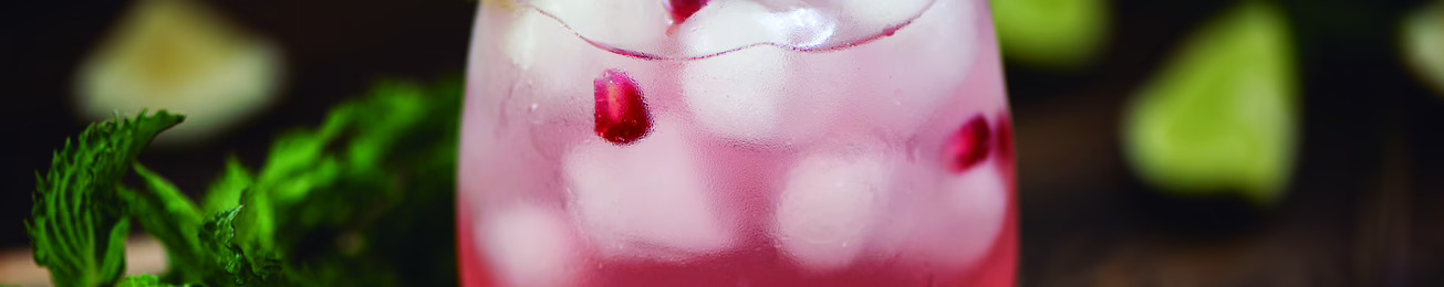 Análisis 2026 del segmento de Mixers Prémium en España