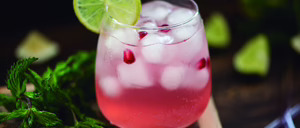 Análisis 2026 del segmento de Mixers Prémium en España