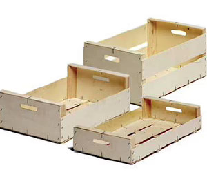 El grupo formado por Mat Fruit y Equip Fruit entra en concurso