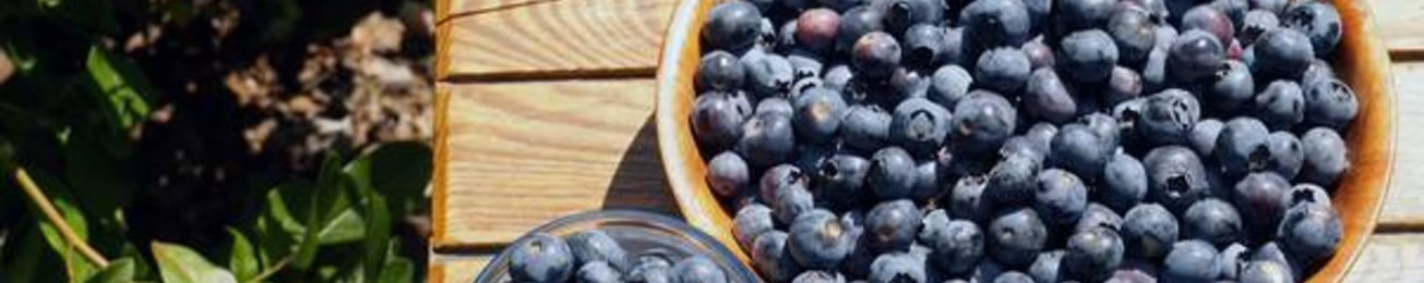 El arándano se convierte en la estrella del snacking saludable