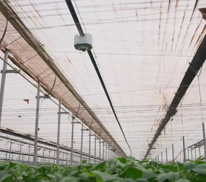 La especialista en robótica y visión artificial para agricultura intensiva Grodi cierra una ronda de 2,5 M€