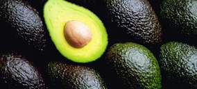 NULAB crea el dispositivo que determinará el momento óptimo de consumo del aguacate