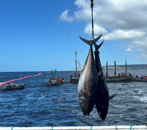 Ricardo Fuentes abrirá nueva planta de producción y centro logístico en Cádiz