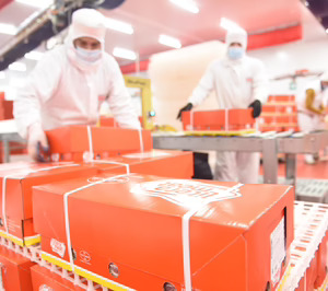 Litera Meat prevé seguir creciendo en facturación y sacrificios en 2026