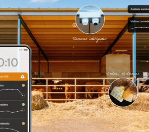 Paxtor, visión artificial e IA para la detección temprana de enfermedades en vacuno de cebo intensivo