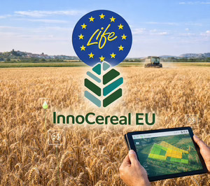 LIFE Innocereal EU da pasos para llevar el cereal bajo en carbono al mercado