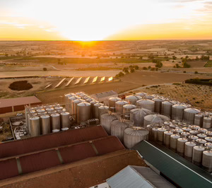 Bodega Soledad invierte en equipamiento mientras crece en ventas