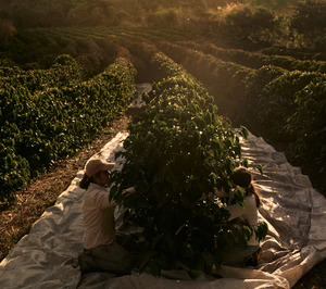 PepsiCo y National Geographic apuestan por la agricultura regenerativa en campos de maíz y trigo