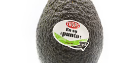 Trops consolida su liderazgo en el sector de tropicales y eleva inversiones para capturar crecimientos