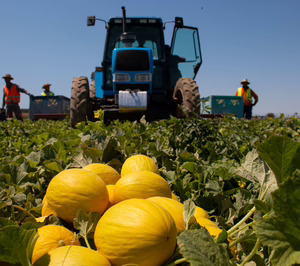 Anecoop acoge a Marfruit como nuevo socio