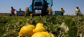 Anecoop acoge a Marfruit como nuevo socio