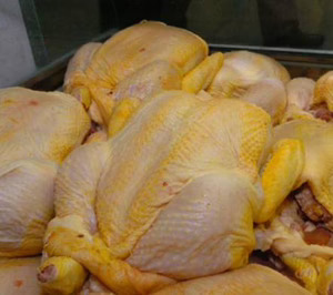 Pollos Cano retomará su actividad de sacrificio este otoño