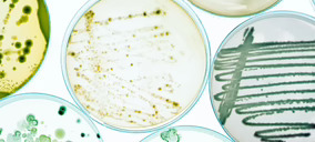FourStrain Lab, fermentación de precisión con vocación industrial para ingredientes con sentido