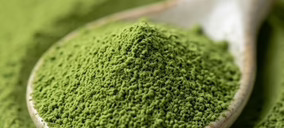 Germinats Tugas presenta Brócoli 4.0, un germinado deshidratado