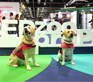 Del wellaging y la nutricosmética en humanos, a la belleza y salud de las mascotas