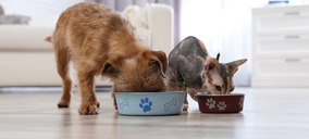 La salud y el bienestar integral marcan la evolución del sector de pet food