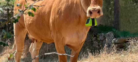 Digitanimal se apoya en Dekra y Skylo para validar su proyecto de monitorización de ganadería extensiva