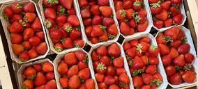 ‘muMU’, planificación, eficiencia y diferenciación para crecer de forma sostenible en berries