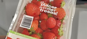 ‘muMU’, planificación, eficiencia y diferenciación para crecer de forma sostenible en berries