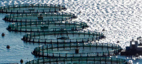 Cooke se consolida como líder en acuicultura mediterránea con la compra de Avramar Grecia