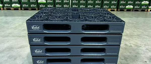 Informe 2026 del mercado de embalaje logístico en España