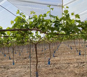 Moyca eleva su inversión a 13 M€ y avanza en la optimización de los procesos