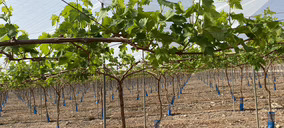 Moyca eleva su inversión a 13 M€ y avanza en la optimización de los procesos