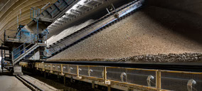 Las lluvias diluyen el consumo de cemento en 2026