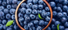 El arándano se convierte en la estrella del snacking saludable