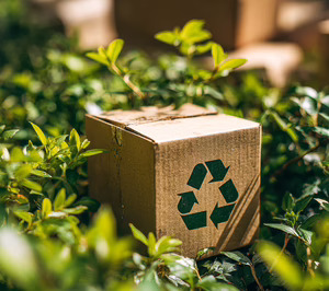 Cómo hacer que la sostenibilidad sea competitiva: tres estrategias del sector del packaging ante el cambio de escenario