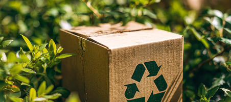 Cómo hacer que la sostenibilidad sea competitiva: tres estrategias del sector del packaging ante el cambio de escenario