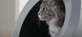 MOVA asoma la cabeza