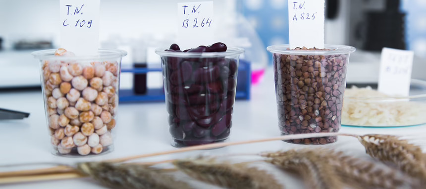 ¿Cuáles son las tendencias en ingredientes saludables?