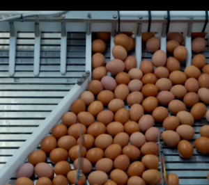 Hevo Group compra otra productora del Top20 y se extiende a Madrid