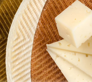 La familia Martínez toma una participación mayoritaria en la quesera Lácteas San Vicente