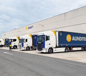 Disayt crea una nueva división para dar un servicio más global