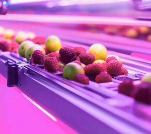 Minsait y Serunion renuevan su colaboración por otros cinco años más