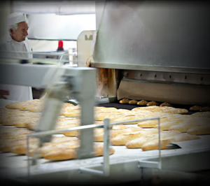 Sanbrandán elevará un 50% su capacidad con una inversión de 10 M€