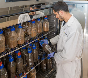 Aimplas logra el reconocimiento de sus ensayos de biodegradación y compostabilidad en Australia y Japón