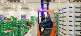 Grupo MAS completa la primera fase de automatización de su plataforma logística, tras una inversión de 13 M€